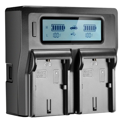 Caricabatteria lcd doppio - caricabatteria,